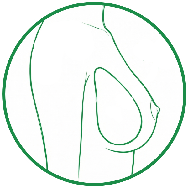 Prótesis Anatómica Clínica Ciplex